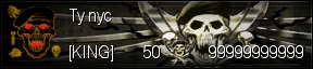 Player Card